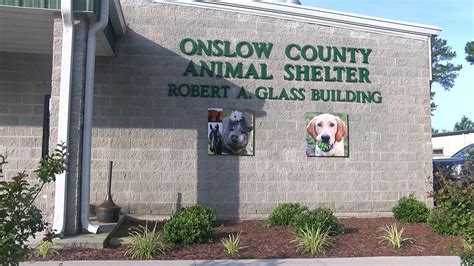 Onslow county animal shelter - 